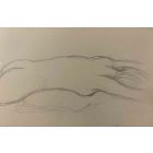 The Sleeping Nude  