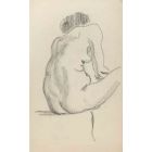 The Posing Nude 