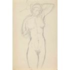 The Posing Nude 