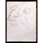 Sleeping Cats