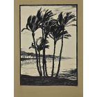 Palm Trees