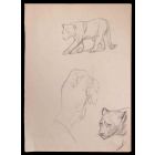 Felines