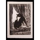Black Cat by the Window
