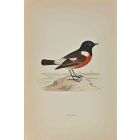 Stonechat