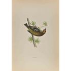 Firecrest