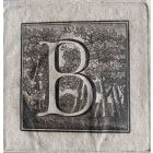 Antiquities of Herculaneum  - Letter of the Alphabet B