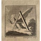 Antiquities of Herculaneum  - Letter of the Alphabet A