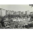 Rio de Janeiro Garden of Glory - Vintage b/w Photo   