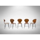 Set of 5 Vintage Chairs "Lulli" by Carlo Ratti