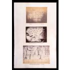 Roman Monuments - Silver Salt Photographs 