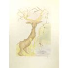 The Stag Reflected in the Water