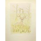  The Sick Stag