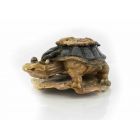 Turtle Paperweight