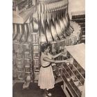 Women Working -Women's Rights  Photos  