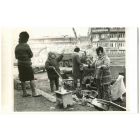 War in Algeria - Historical Photo 
