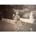 The Old Days  Photo 