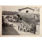 The Old Days - Historical Photo    