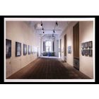 Exhibition in Turin