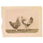 The Old Days  Photo - Fowls