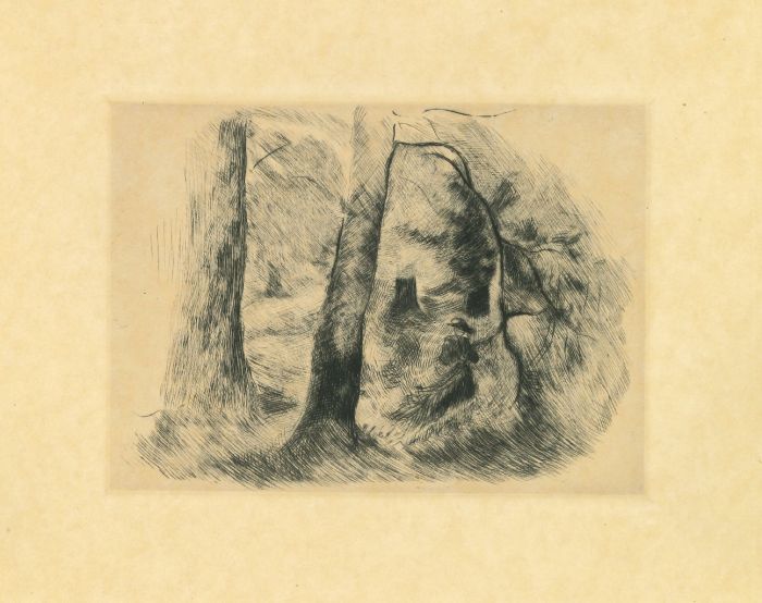 The Forest