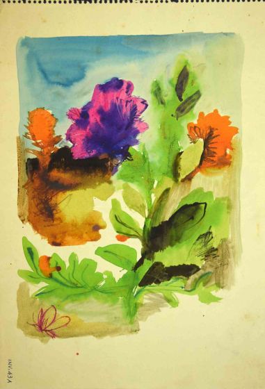 Plants and Flowers