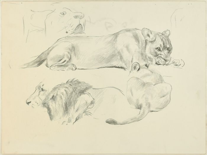 Lions by Wilhelm Lorenz - Modern Artwork