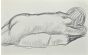 The Lying Down Nude