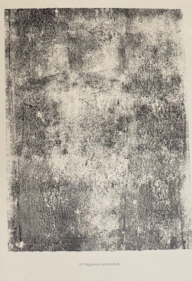 Vegetation Primordiale is an original B/W lithograph on watermarked paper "Arc". Abstract composition by the French artist Jean Dubuffet. From the album of "Theatre du sol" (1953-1959). In excellent conditions.
