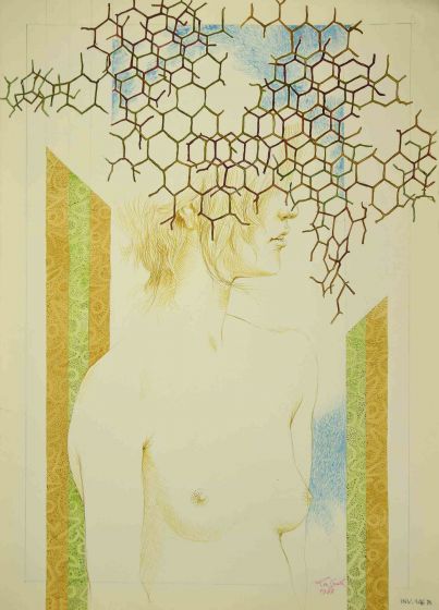 Reticulum