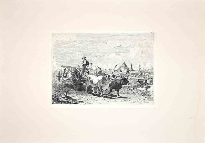 Bulls in the Roman Countryside