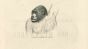 The Gorilla