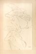 Two Crouching Female Nudes - SOLD