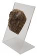 Bacchus Head