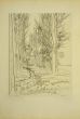 Landscape is an original drawing in etching technique on ivory-colored paper, realized by Ronald Brudieux.