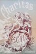 Ischia by V. Tamagno- Modern Artwork