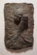 Untitled by Andrea Fogli - Contemporary Artworks