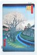 After Utagawa Hiroshige - Tamagawa Aqueduct - Modern Artwork