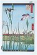 After Utagawa Hiroshige - Iris Garden - Modern Artwork