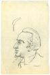 The Profile  
