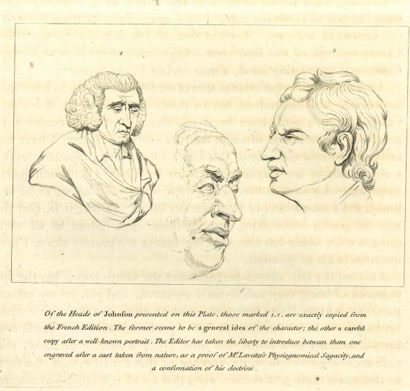 Heads of Johnfon