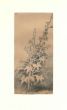 Jan Peeter Verdussen, Flora Study. 