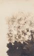 Study for a Cover for Ardengo Soffici