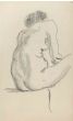 The Posing Nude 