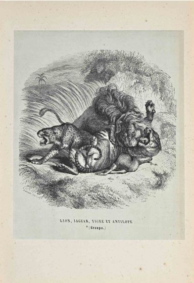 The Lion, Jaguar, Tiger