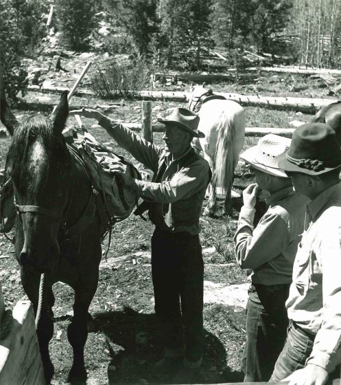 Horse Packing - American Vintage Photograph