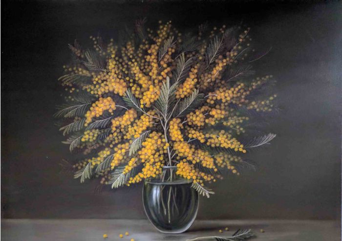 Mimosa 4