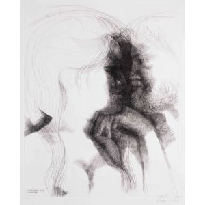 Commiato N.13