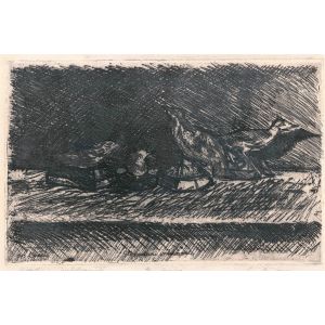 Uccellini imbalsamati