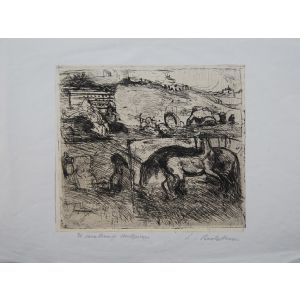 Il Cavallaro di Montemario