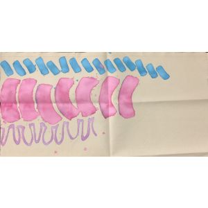 Untitled - Pink And Blue